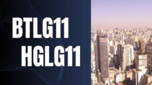 Leia mais sobre o artigo BTLG11 e HGLG11: Movimentações no segmento de logística para 2024