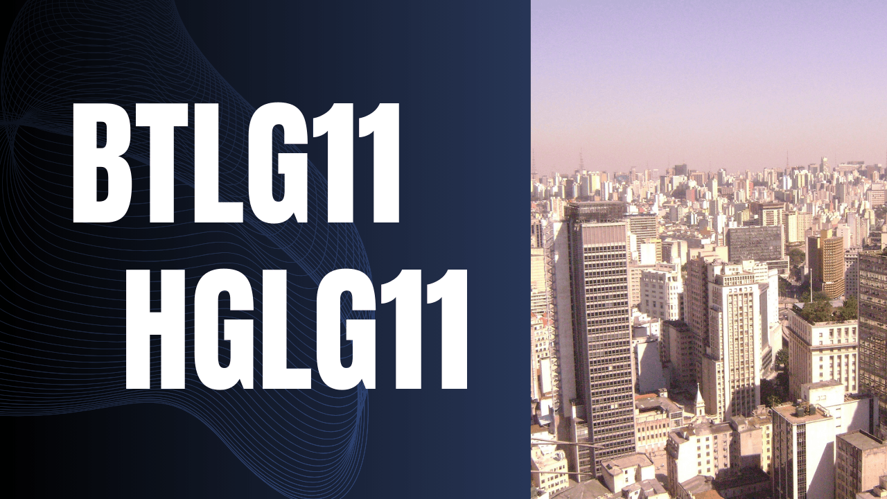 No momento, você está visualizando BTLG11 e HGLG11: Movimentações no segmento de logística para 2024