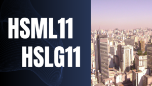 Leia mais sobre o artigo HSML11 e HSLG11: Oportunidades de investimento em shoppings e logística