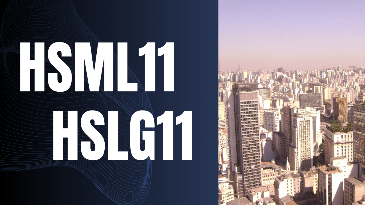 Leia mais sobre o artigo HSML11 e HSLG11: Oportunidades de investimento em shoppings e logística
