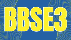 Leia mais sobre o artigo BBSE3: BB Seguridade apresenta bom crescimento no 3T24